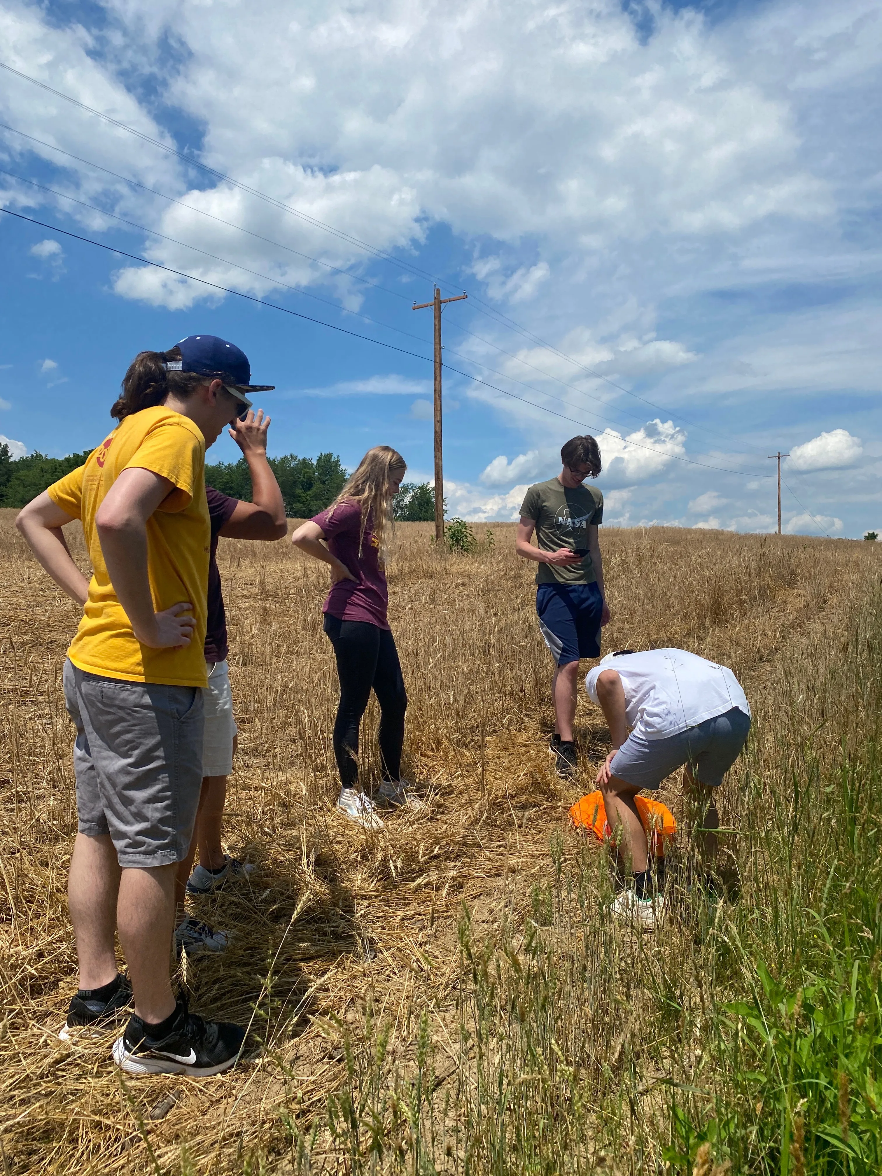 Field Recovery Testing
